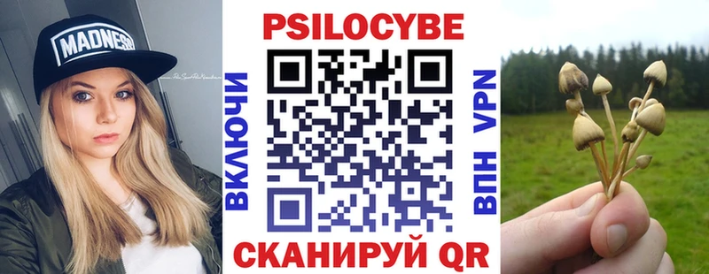 Псилоцибиновые грибы Psilocybine cubensis  дарнет шоп  Велиж 